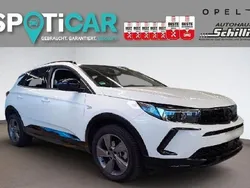Jade weiß Gebraucht 2024 Opel Grandland X SUV | 27.490 € (Fairer Preis)