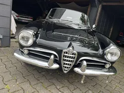 Schwarz Gebraucht 1964 Alfa Romeo Giulia Cabrio | 68.000 €