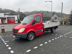 Rot Gebraucht 2006 Mercedes Sprinter Van | 6.700 €