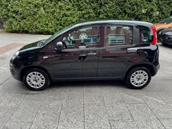 Schwarz Gebraucht 2019 Fiat Panda Easy Kleinwagen | 8.980 € (Fairer Preis)