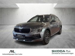 Grau Gebraucht 2024 Skoda Kamiq Selection SUV | 22.940 € (Fairer Preis)