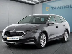 Grau Gebraucht 2023 Skoda Octavia Scout Kombi | 32.649 € (Etwas zu teuer)
