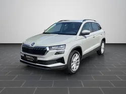 Stahlgrau Gebraucht 2022 Skoda Karoq SUV | 26.980 € (Fairer Preis)