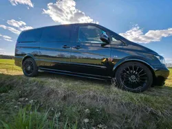 Mercedes Viano