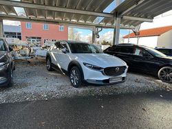 Weiß Gebraucht 2024 Mazda CX-30 Center-Line SUV | 26.850 €
