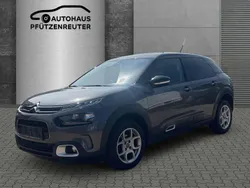 Grau Gebraucht 2019 Citroën C4 Cactus Shine Kleinwagen | 11.800 € (Teuer)