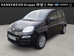 Schwarz Gebraucht 2022 Fiat Panda Limousine | 10.390 € (Fairer Preis)