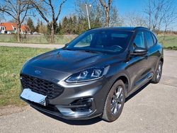 Grau Gebraucht 2020 Ford Kuga ST-Line X SUV | 19.200 € (Guter Preis)