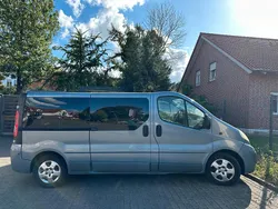 Blau Gebraucht 2008 Opel Vivaro Van | 7.300 €