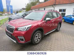 Rot Gebraucht 2020 Subaru Forester Trend SUV | 22.640 € (Fairer Preis)
