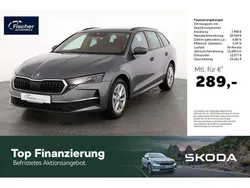 Grau Gebraucht 2024 Skoda Octavia Selection Kombi | 28.940 € (Guter Preis)