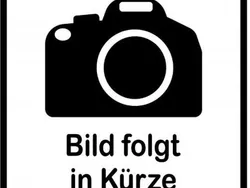 Andere Gebraucht 2020 Ford Transit Limousine | 23.900 €