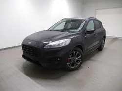 Schwarz Gebraucht 2024 Ford Kuga ST-Line X SUV | 25.440 € (Superpreis)