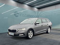 Grau Gebraucht 2023 Skoda Octavia Ambition Kombi | 24.952 € (Fairer Preis)