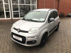 Silber Gebraucht 2019 Fiat Panda Easy Kleinwagen | 9.990 € (Fairer Preis)
