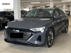 Grau Gebraucht 2023 Audi Q8 e-tron SUV | 42.950 € (Superpreis)