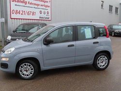 Grau Gebraucht 2020 Fiat Panda Easy Kleinwagen | 13.450 € (Teuer)