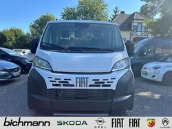 Neu 2025 Fiat Ducato Van | 34.509 € (Etwas zu teuer)