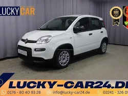 296 gelato weiß Neu 2024 Fiat Panda Kleinwagen | 14.230 €