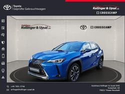 Blau Gebraucht 2021 Lexus UX 250h SUV | 21.990 € (Superpreis)