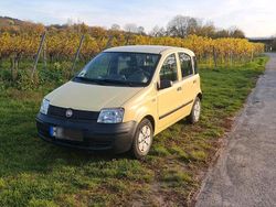 Gelb Gebraucht 2009 Fiat Panda Kleinwagen | 2.599 €