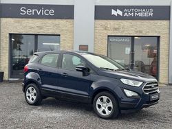 Blau Gebraucht 2020 Ford Ecosport Trend SUV | 12.499 € (Guter Preis)
