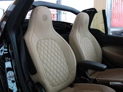 Schwarz Gebraucht 2018 Smart ForTwo Cabrio Brabus Xclusive Cabrio | 22.900 € (Etwas zu teuer)