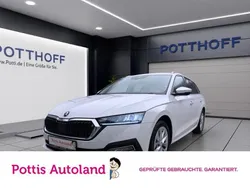 Weiss Gebraucht 2023 Skoda Octavia Style Kombi | 25.777 € (Guter Preis)