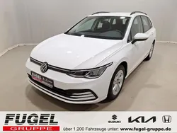 Pure white Gebraucht 2023 VW Golf VIII Kombi | 22.999 € (Guter Preis)