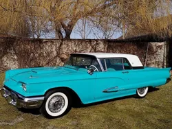 Blau Gebraucht 1960 Ford Thunderbird Coupé | 28.900 €