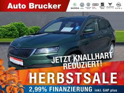 Gruen Gebraucht 2020 Skoda Karoq Style SUV | 22.990 € (Guter Preis)