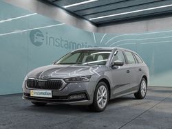 Grau Gebraucht 2024 Skoda Octavia Selection Kombi | 30.490 € (Fairer Preis)