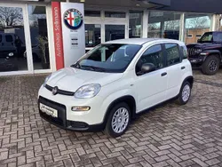 Weiß Gebraucht 2024 Fiat Panda Kleinwagen | 14.990 € (Etwas zu teuer)