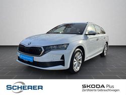 Moonweiß perleffekt Gebraucht 2025 Skoda Octavia Selection Kombi | 29.500 € (Guter Preis)