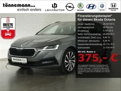 Grau Gebraucht 2022 Skoda Octavia Tour Kombi | 28.824 € (Fairer Preis)