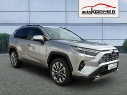 Lichtsilber metallic Neu 2025 Toyota RAV4 Hybrid Lounge SUV | 49.990 € (Teuer)
