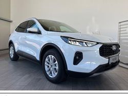Frozen white Gebraucht 2025 Ford Kuga Titanium SUV | 34.490 € (Superpreis)
