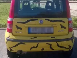 Gelb Gebraucht 2008 Fiat Panda Kleinwagen | 2.499 € (Etwas zu teuer)