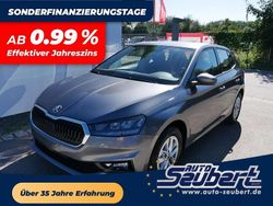 Grau Neu 2025 Skoda Fabia Kleinwagen | 17.490 € (Guter Preis)