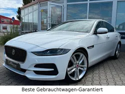 Weiß Gebraucht 2019 Jaguar XE Limousine | 23.990 € (Etwas zu teuer)