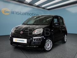 Schwarz Gebraucht 2020 Fiat Panda Cross Cross Kleinwagen | 11.299 € (Fairer Preis)