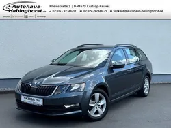 Grau Gebraucht 2017 Skoda Octavia Ambition Kombi | 12.790 € (Fairer Preis)