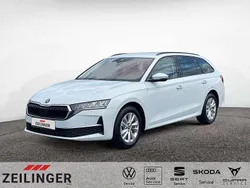 Weiß Gebraucht 2025 Skoda Octavia Selection Kombi | 30.845 € (Guter Preis)