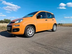 Orange Gebraucht 2019 Fiat Panda Easy Kleinwagen | 7.000 € (Guter Preis)