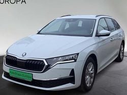 Weiß Gebraucht 2025 Skoda Octavia Selection Kombi | 28.800 € (Guter Preis)