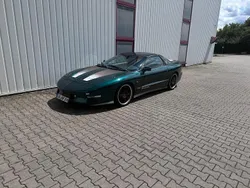 Grün Gebraucht 1994 Pontiac Firebird Coupé | 8.999 €