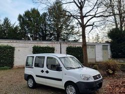 Weiß Gebraucht 2009 Fiat Doblò Van / Kleinbus | 4.400 € (Fairer Preis)
