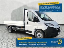 Cassablancaweiß Neu 2025 Opel Movano Van | 28.990 € (Guter Preis)