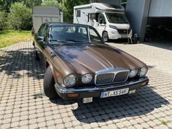 Beige Gebraucht 1981 Jaguar XJ12 Limousine | 15.555 €