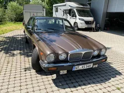 Beige Gebraucht 1981 Jaguar XJ12 Limousine | 17.800 €